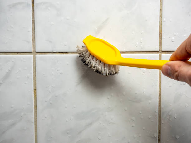 Best Home Mold Removal  in Alum Creek, WV
