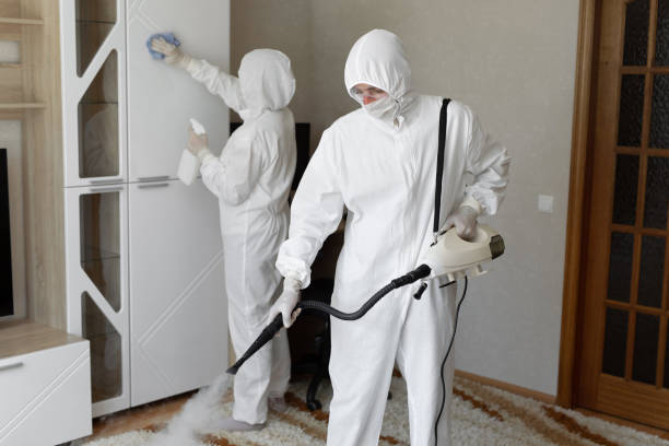 Office Mold Removal Services in Alum Creek, WV